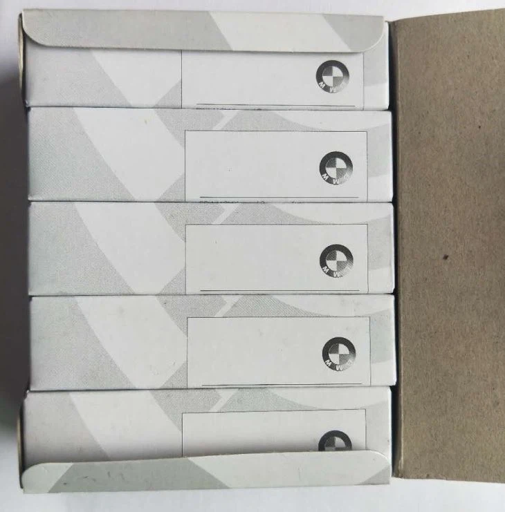 5,BMW F18 Engine Plug