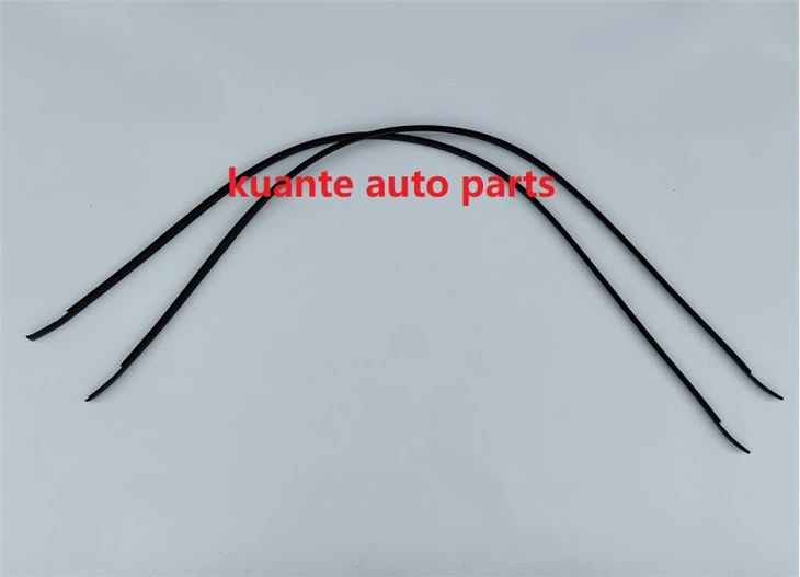 best price car roof water strip